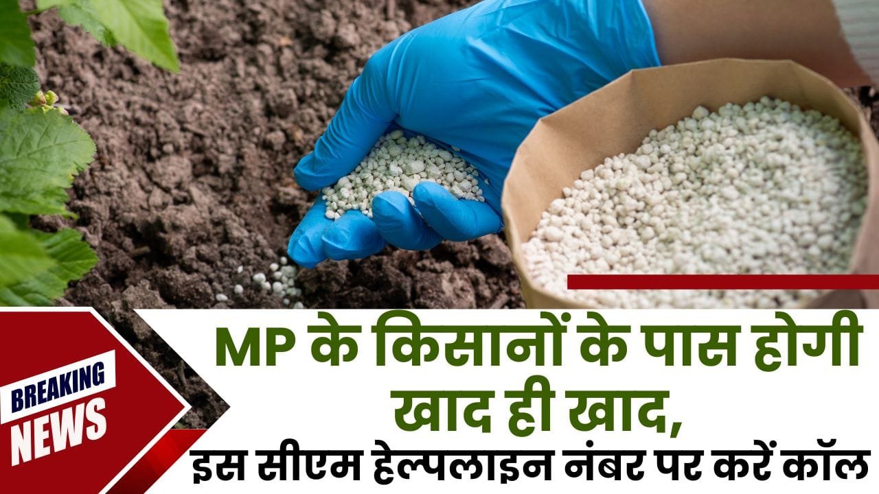 MP के किसानों को टोकन के माध्यम से मिल रही खाद