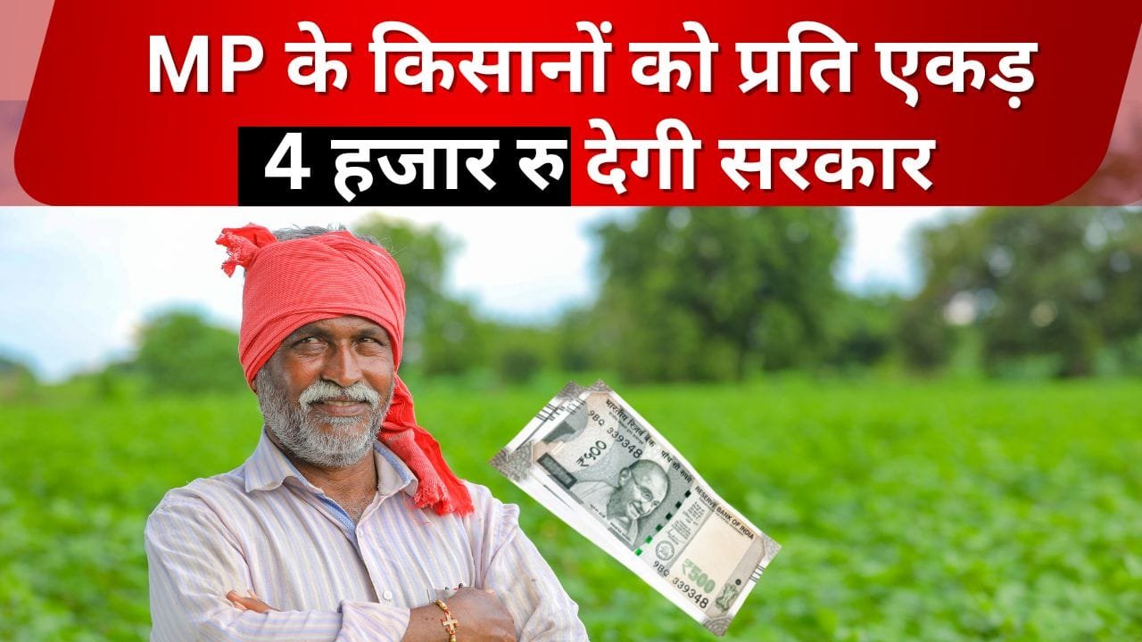 किसानों को जैविक खेती के लिए अनुदान मिलेगा