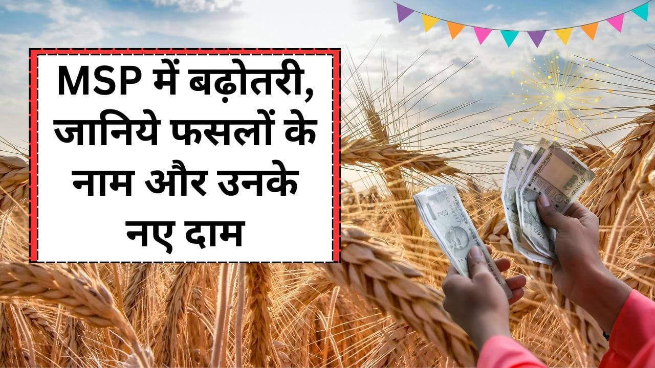 6 फसलों की MSP बढ़ी