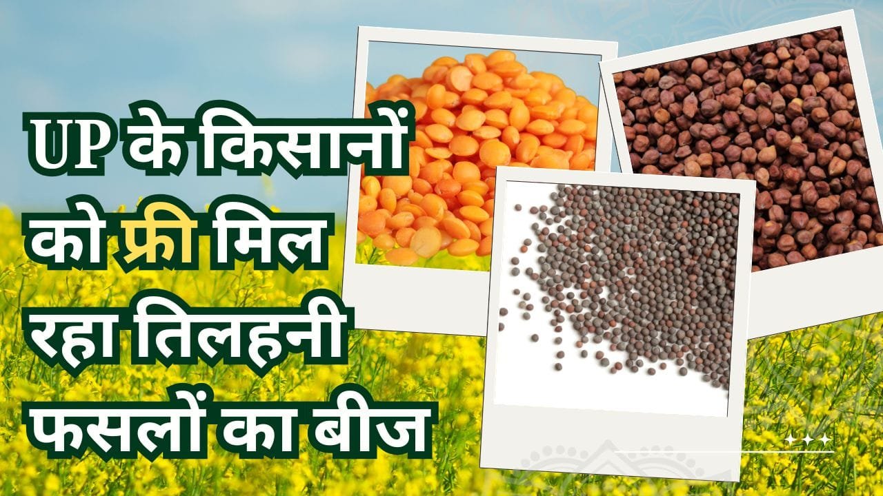 UP के किसानों को तिलहन फसलों के मिनी किट
