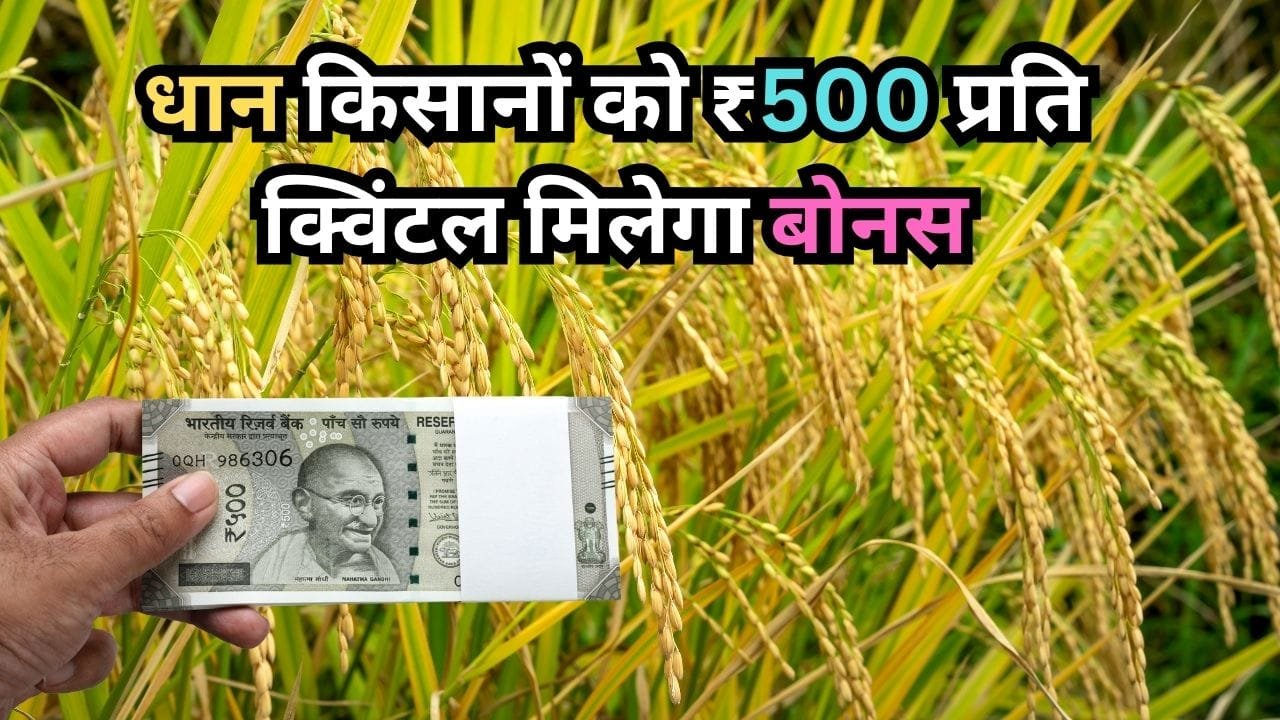 धान के किसानों को प्रति क्विंटल ₹500 बोनस