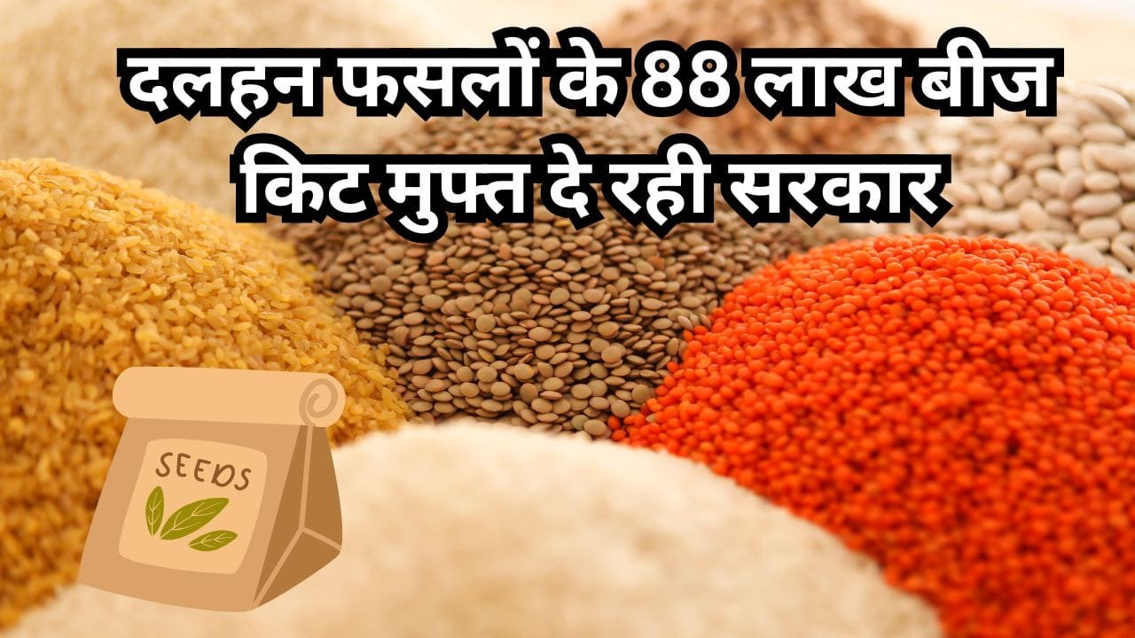 दलहनी बीजों के 88 लाख किट मुफ्त में