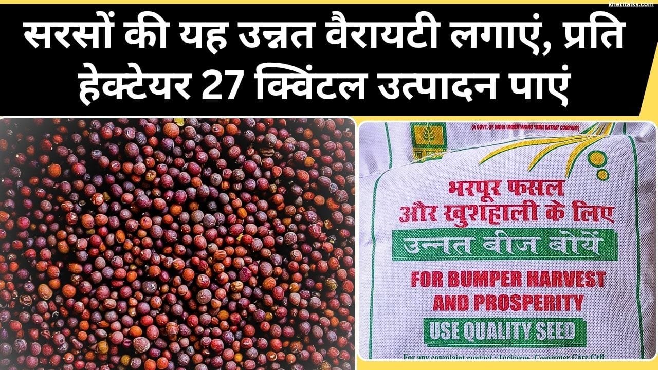 किस वेबसाइट से बीज मंगा सकते हैं घर बैठे