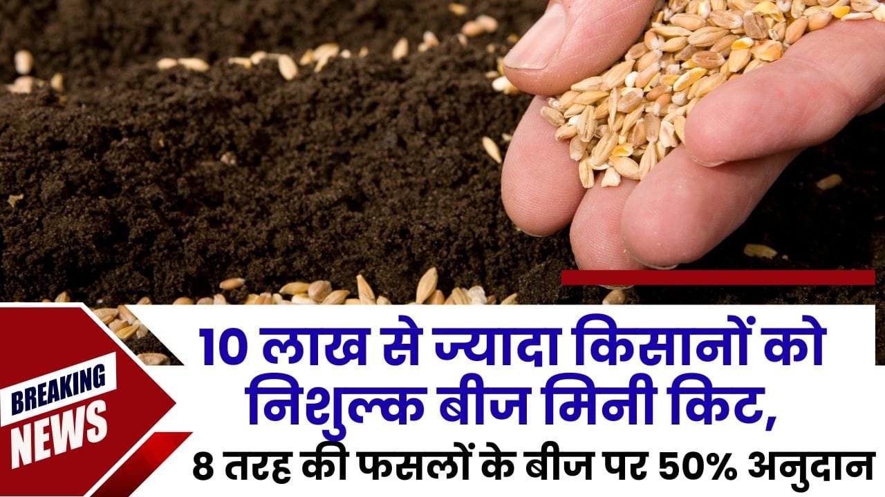 बीजों पर 50% अनुदान