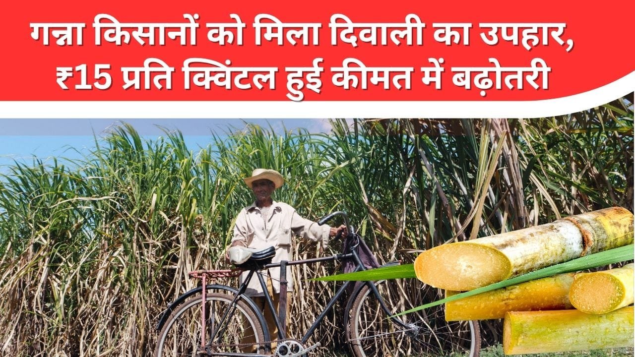 गन्ना की कीमत में बढ़ोतरी