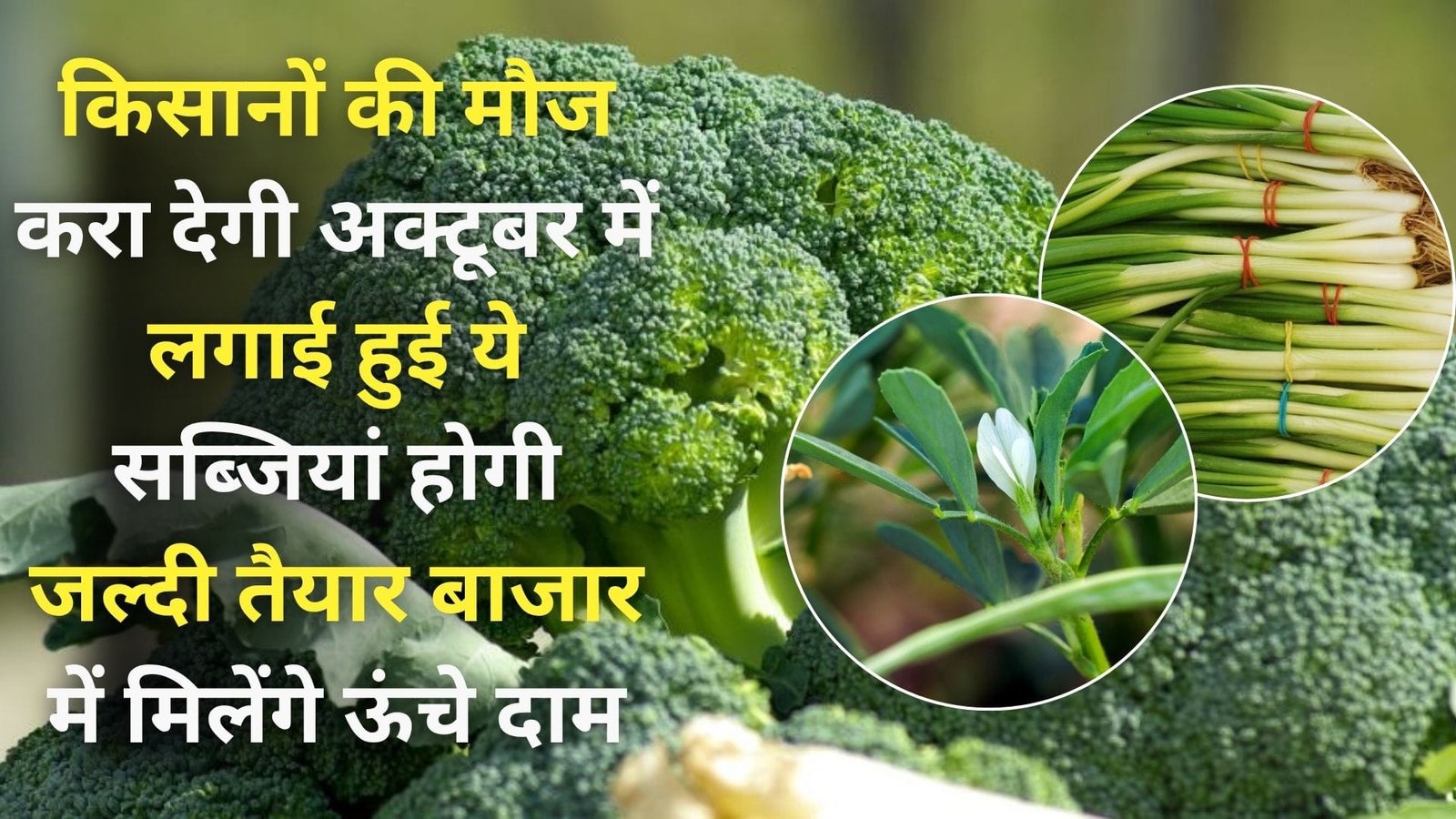 किसानों की मौज करा देगी अक्टूबर में लगाई हुई ये 3 सब्जियां, होगी जल्दी तैयार बाजार में मिलेंगे ऊंचे दाम, जाने नाम