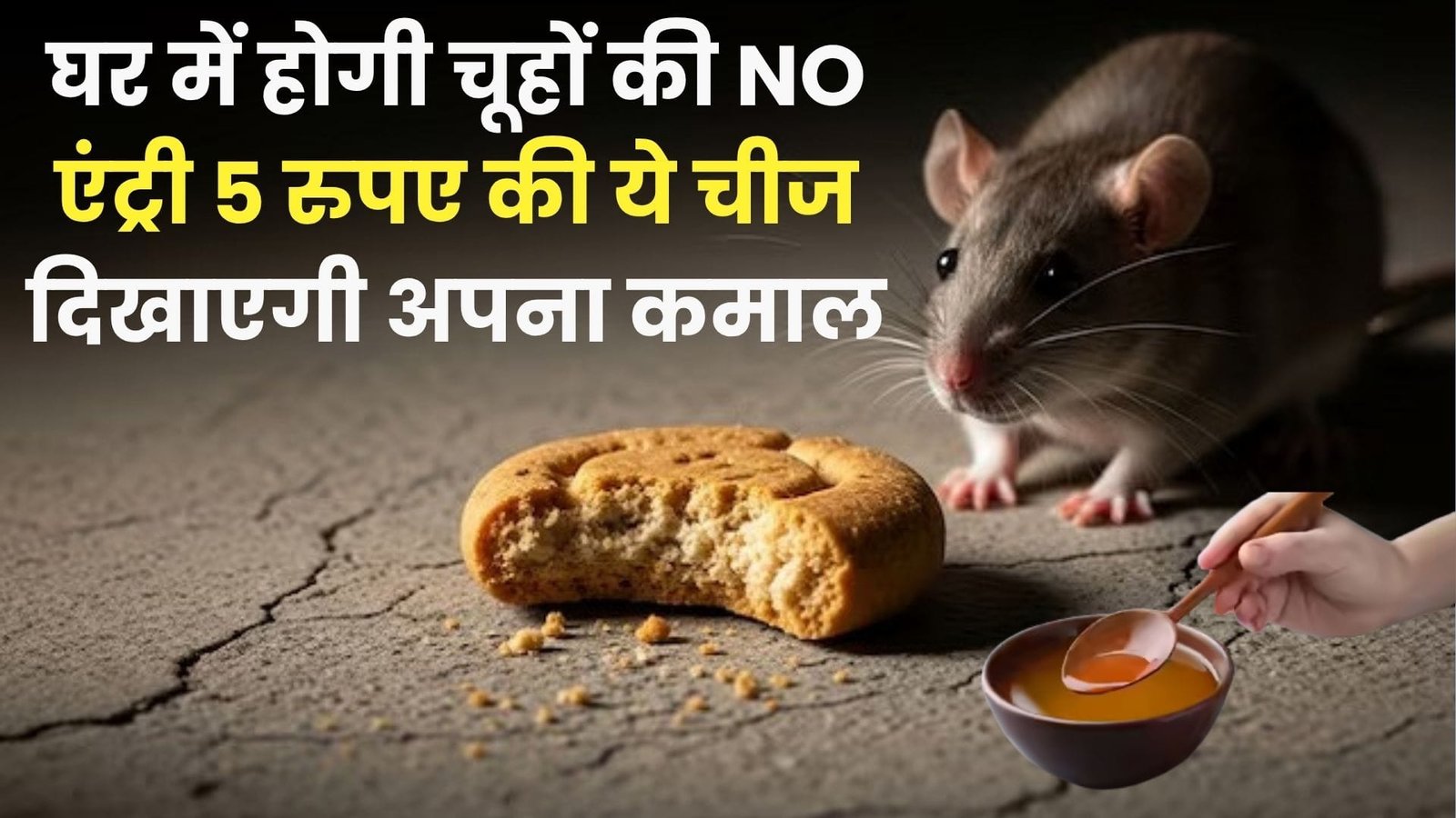 घर में होगी चूहों की NO एंट्री, 5 रुपए की ये चीज दिखाएगी अपना कमाल चूहे हो जायेंगे छूमंतर, जाने कैसे