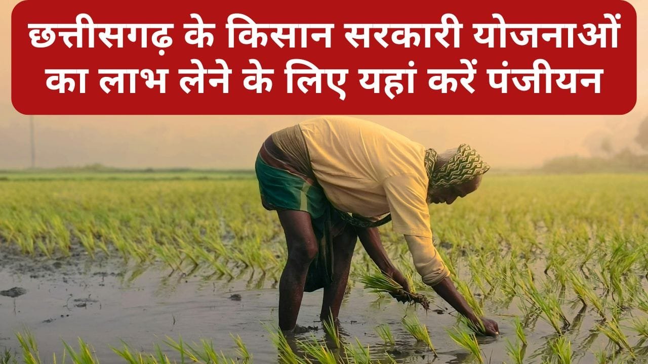 छत्तीसगढ़ के किसानों के लिए महत्वपूर्ण जानकारी