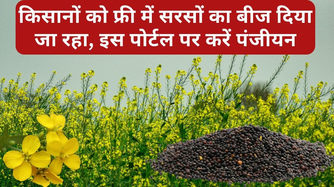MP के ग्वालियर जिले के किसानों को मुफ्त में सरसों के बीज