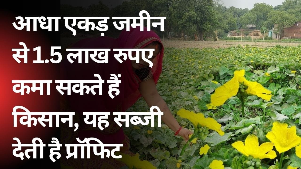 इस सब्जी की खेती में किसानों को है प्रॉफिट