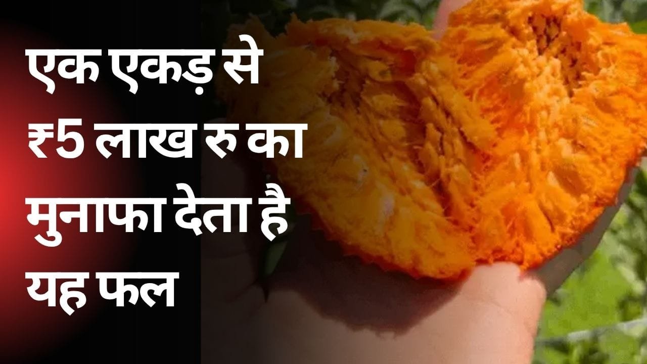 इस फल की खेती से किसानों को प्रॉफिट