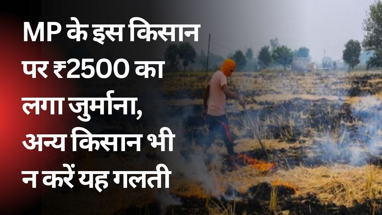 पराली जलाने की शिकायत यहां करें