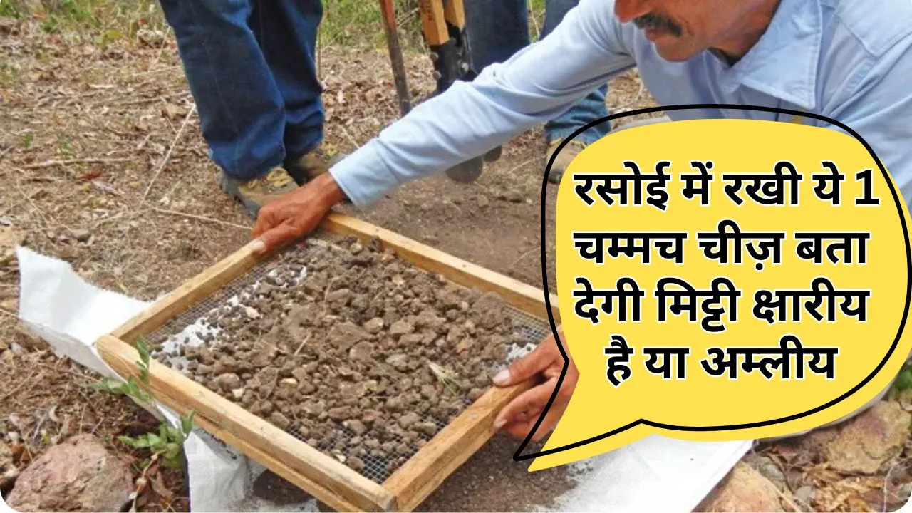 घर पर मिट्टी का pH टेस्ट कैसे करें