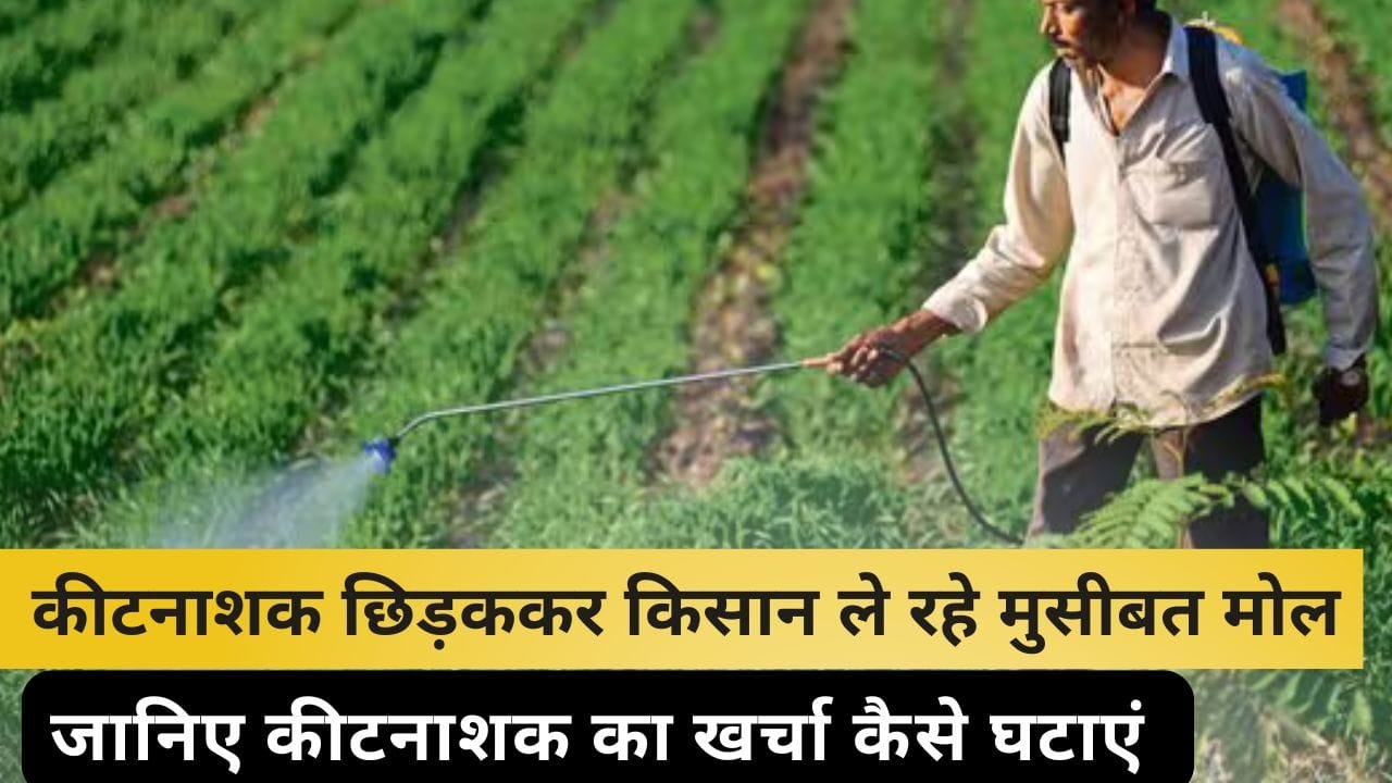 कीटनाशक की ज़रूरत और उसके नुकसान क्या हैं