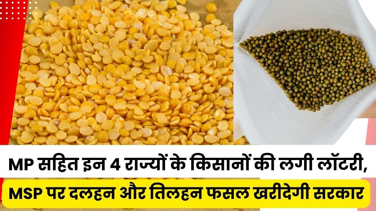 अब दलहन और तिलहन फसलें MSP पर खरीदी जाएंगी