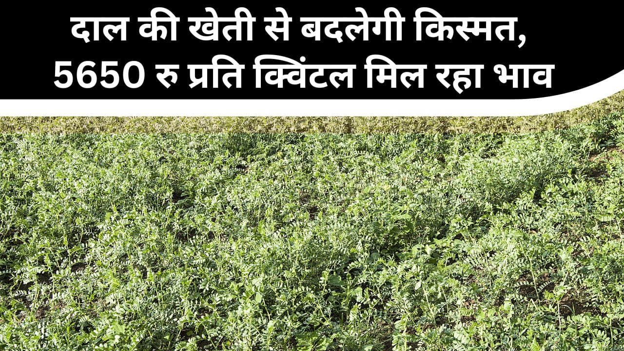 प्रधानमंत्री की MSP नीति
