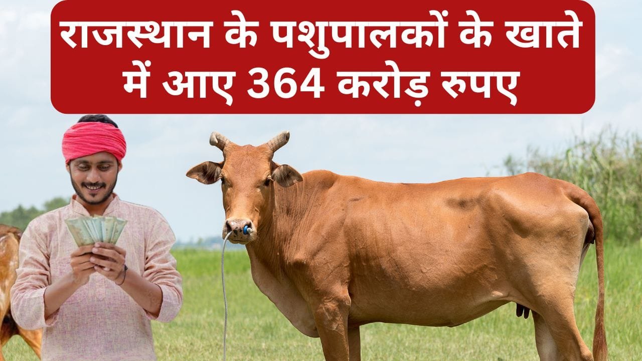 मुख्यमंत्री दुग्ध उत्पादन संबल योजना