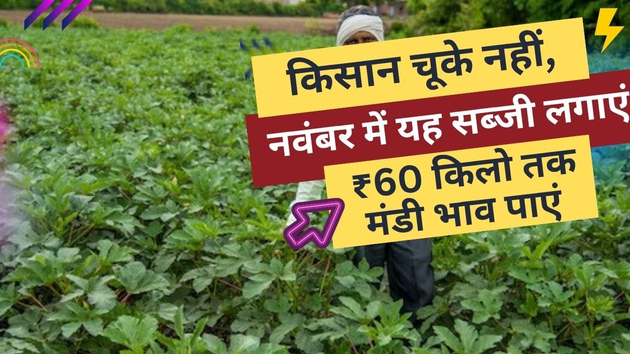 इस सब्जी की अगेती खेती किसान को मालामाल कर सकती है