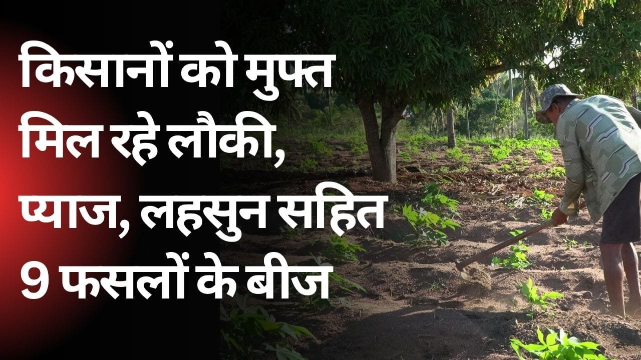 फ्री में सब्जियों के बीज लेने के लिए कहां करें आवेदन?