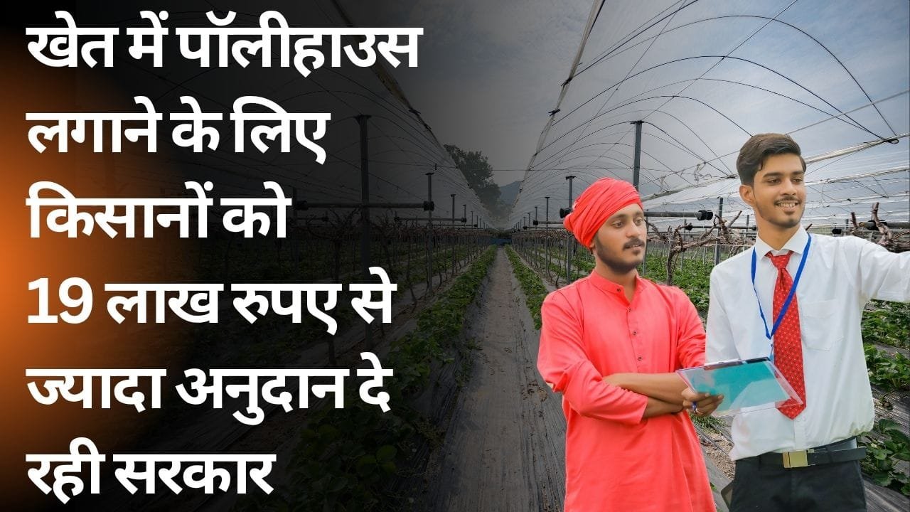 पॉलीहाउस में कितना मिल रहा अनुदान