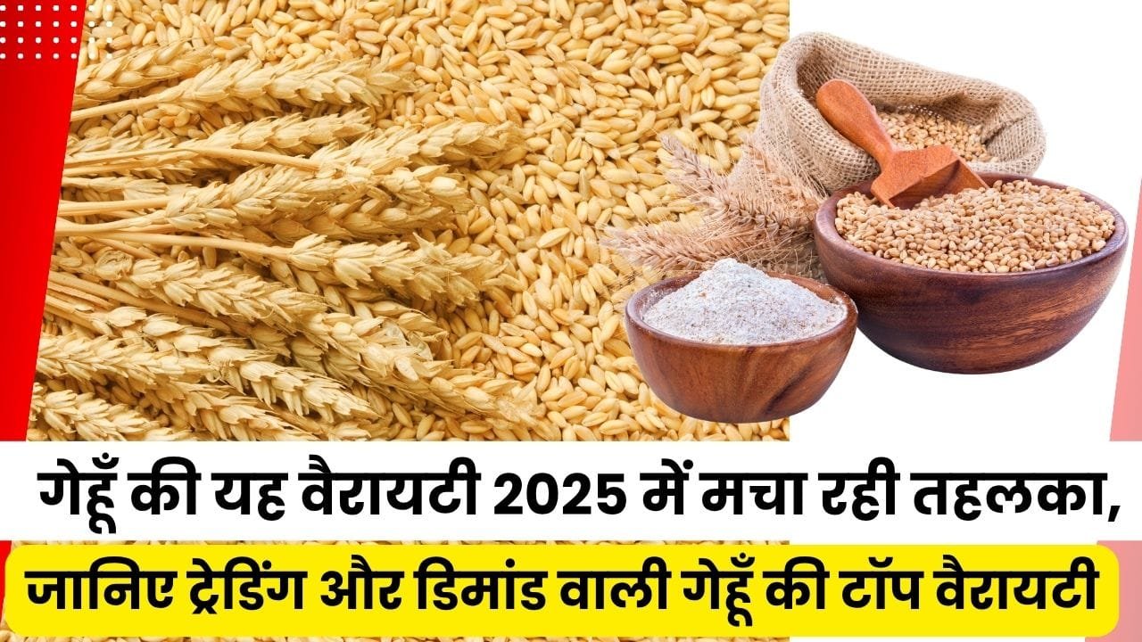श्रीराम सुपर 5-SR-05 की खासियत