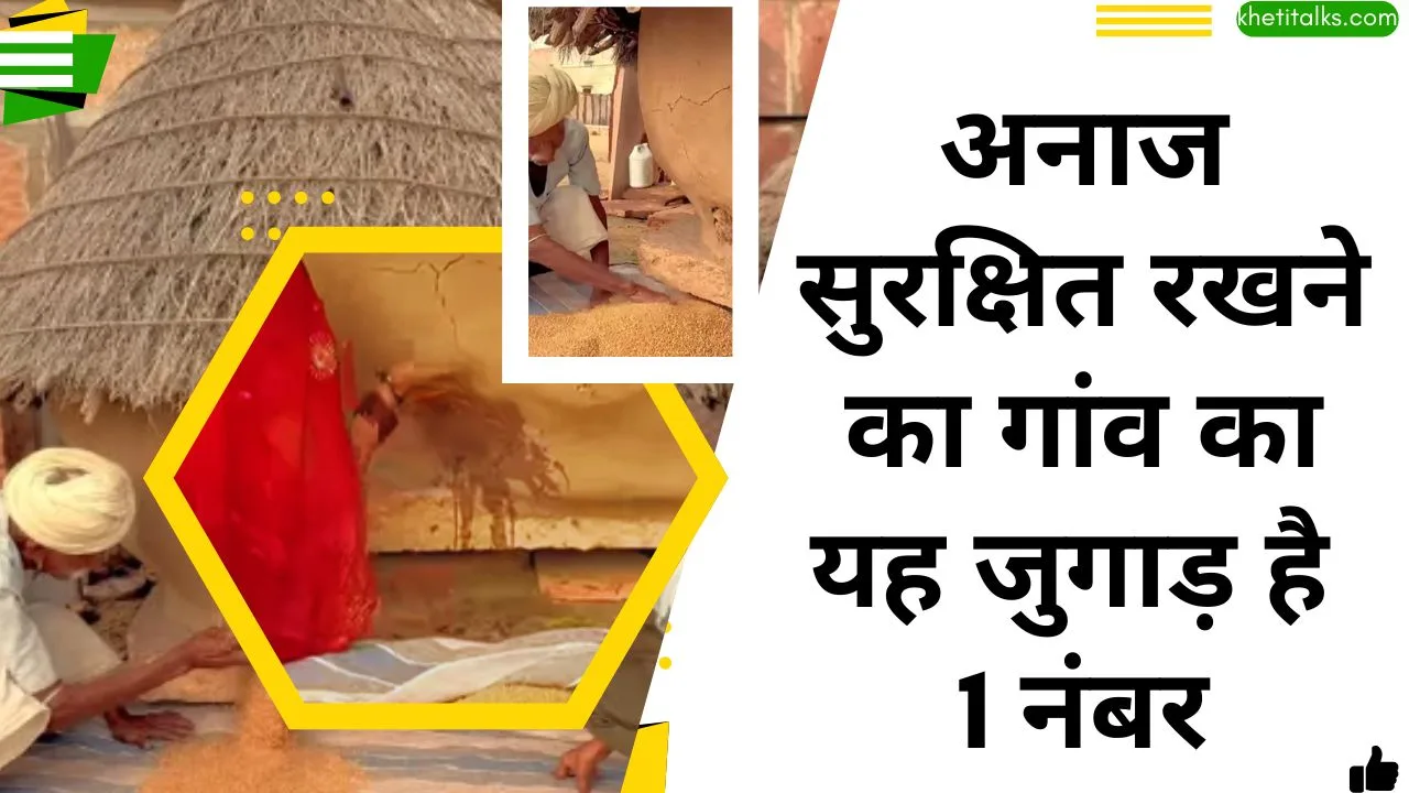 मिट्टी की झोपड़ी में अनाज का भंडारण