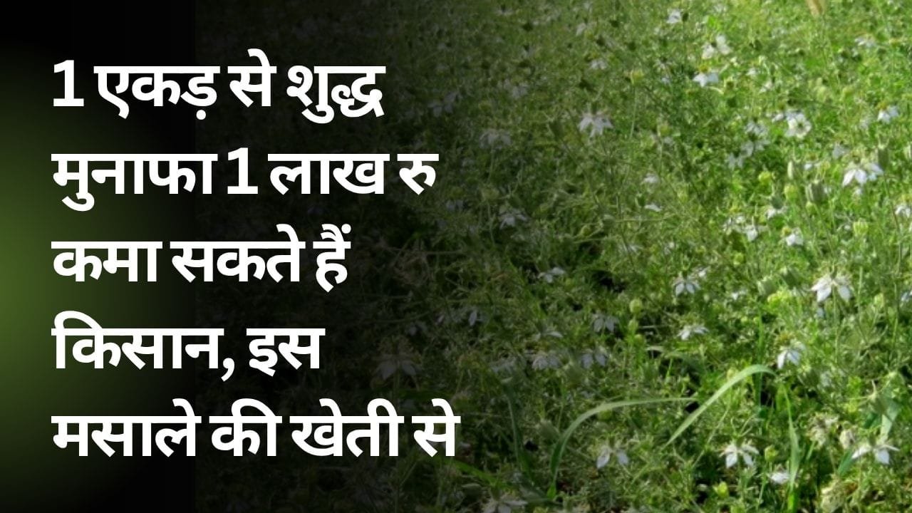 मसाले की खेती