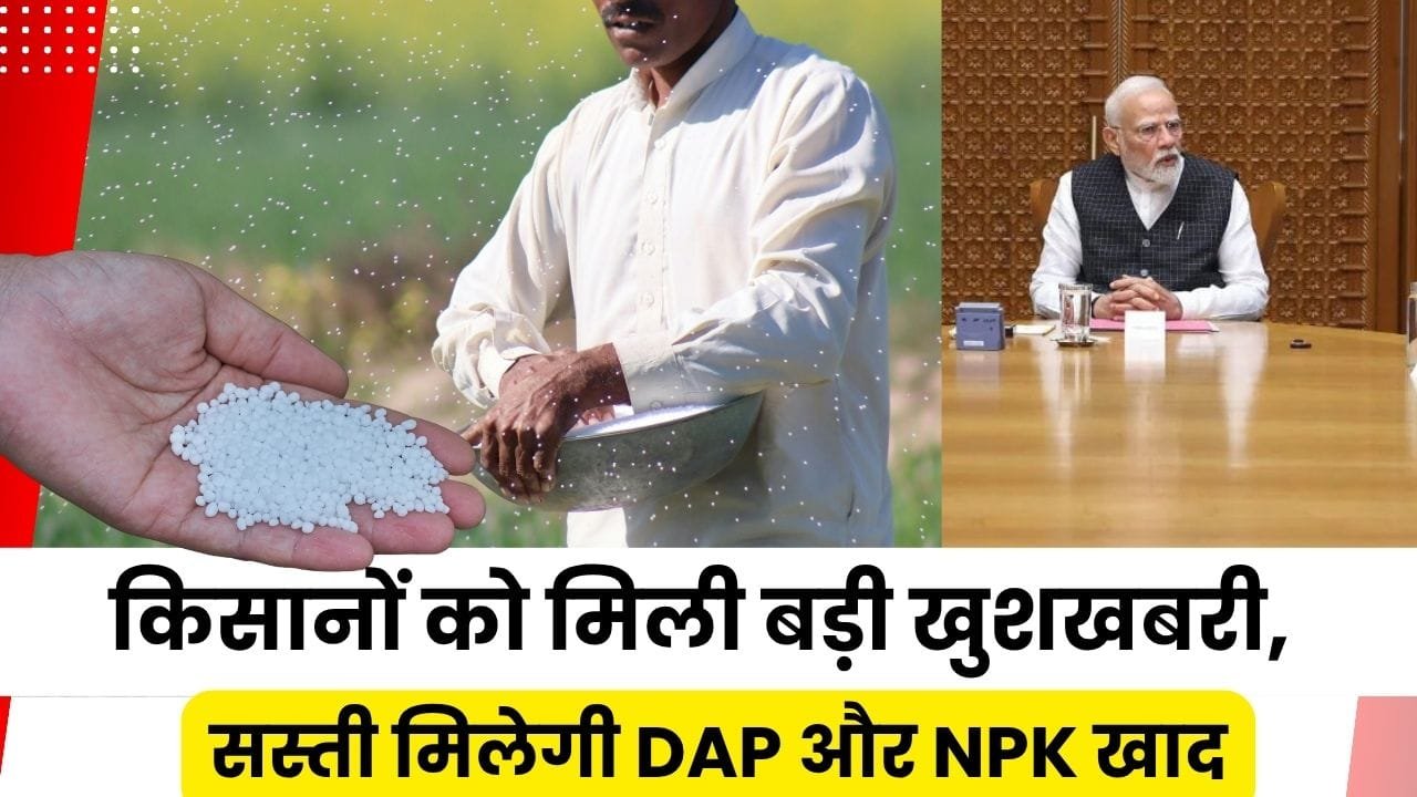 किसानों को कम रेट में मिलेगी डीएपी-यूरिया