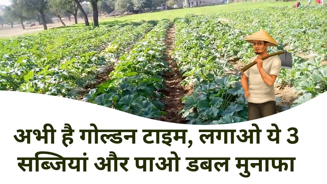 सब्जियां