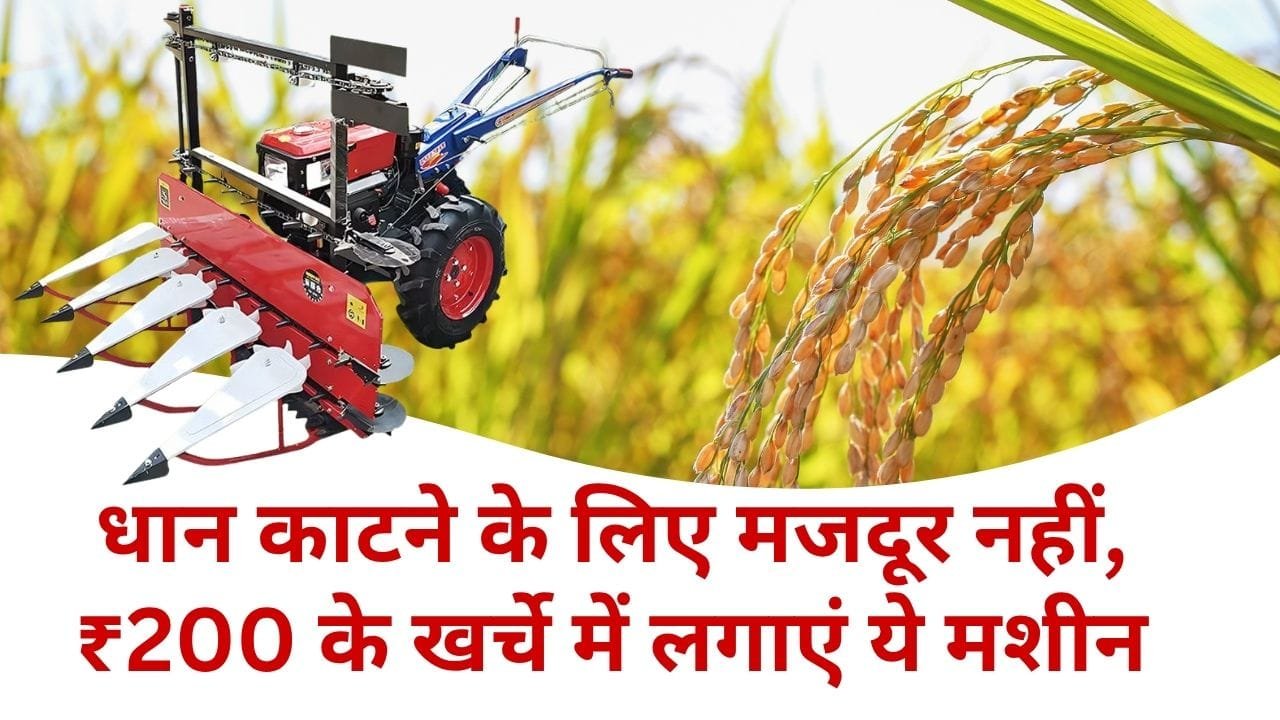 धान काटने की मशीन