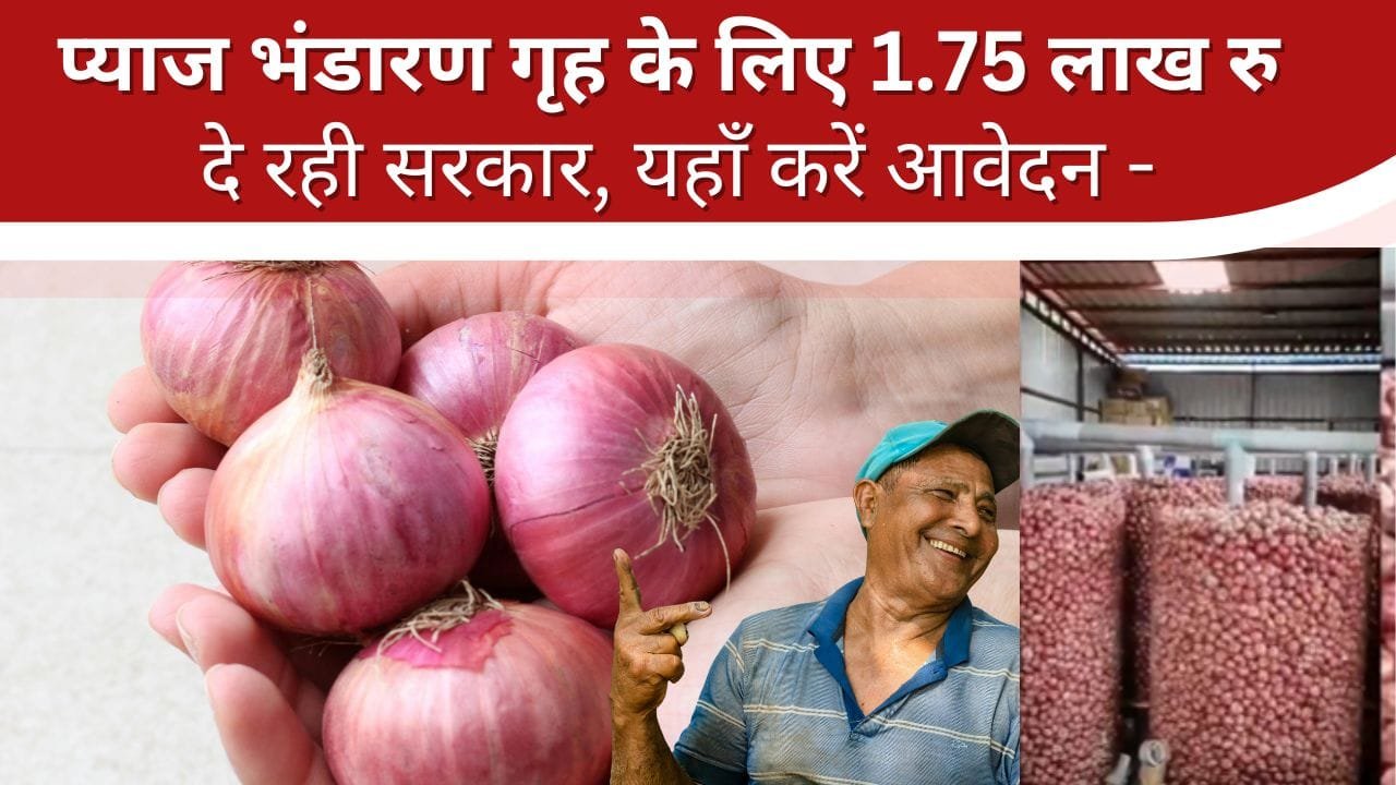 प्याज भंडारण गृह पर सब्सिडी