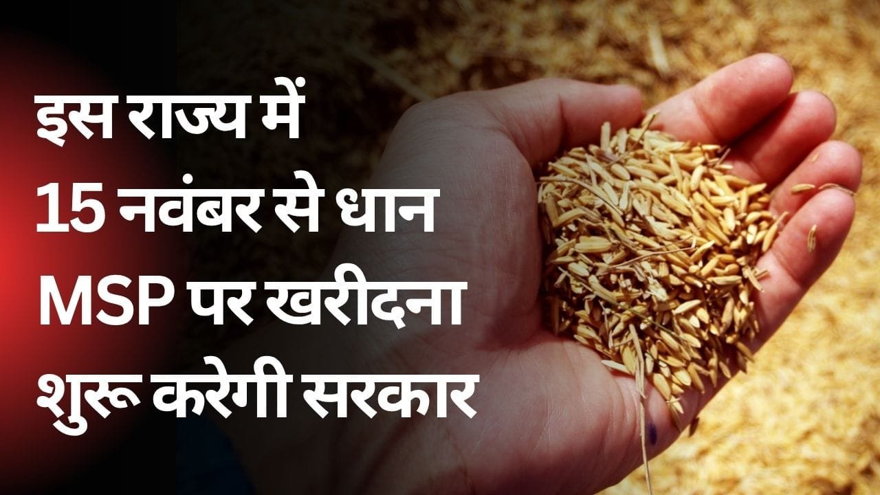 धान की MSP पर खरीदी