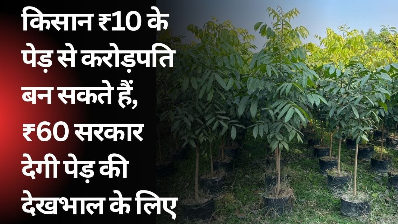 बिहार के पश्चिम चंपारण जिले के वन प्रमंडल बेतिया में योजना