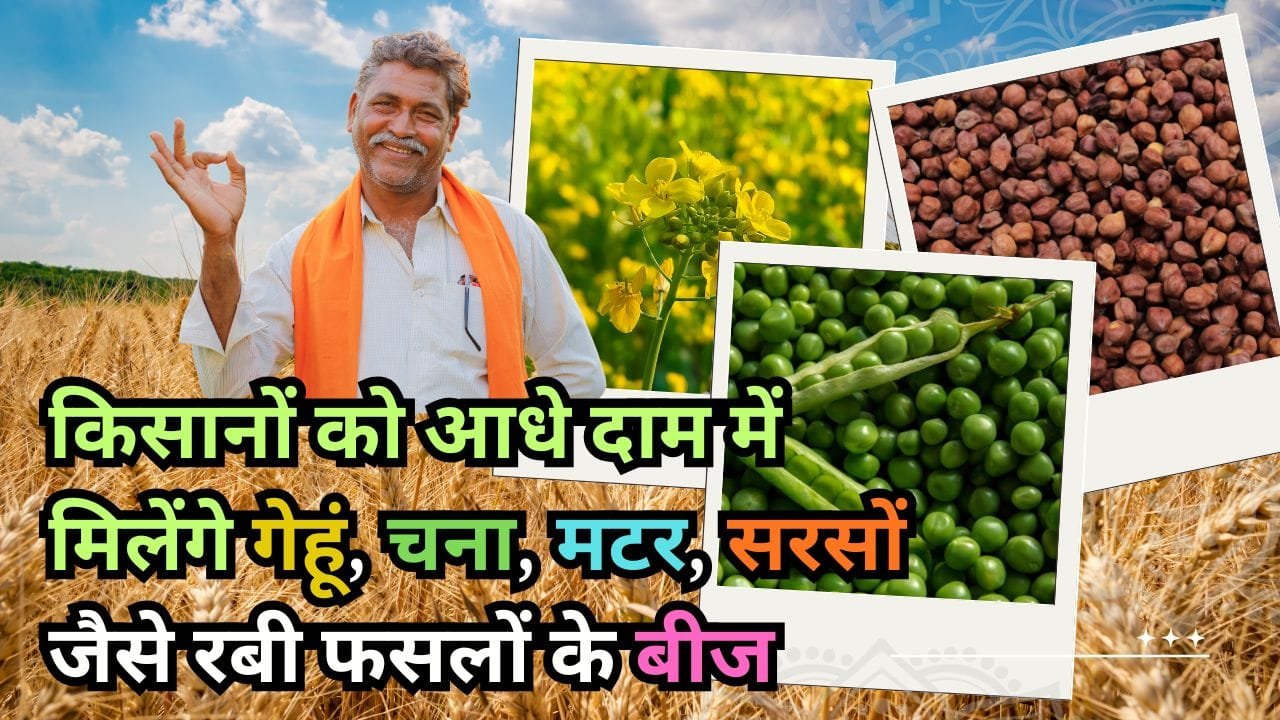 किसानों को अनुदान पर बीज मिलेंगे