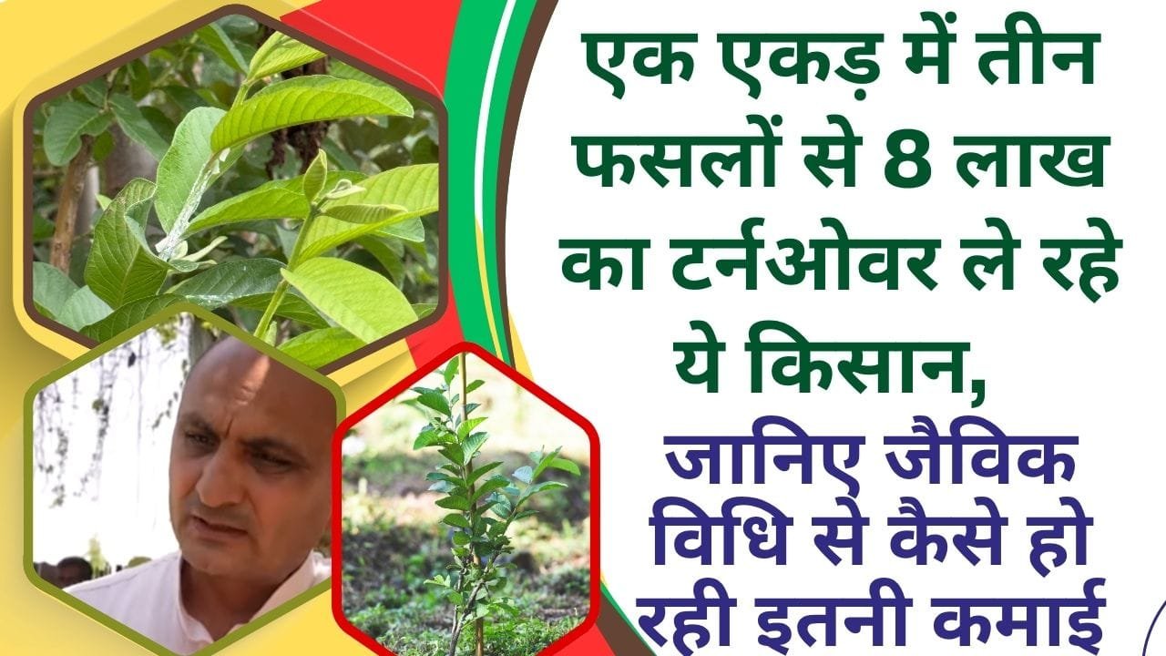 किसान की सफलता की कहानी