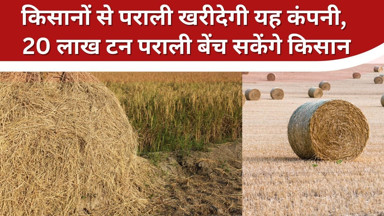 यह कंपनी किसानों से पराली खरीदेगी