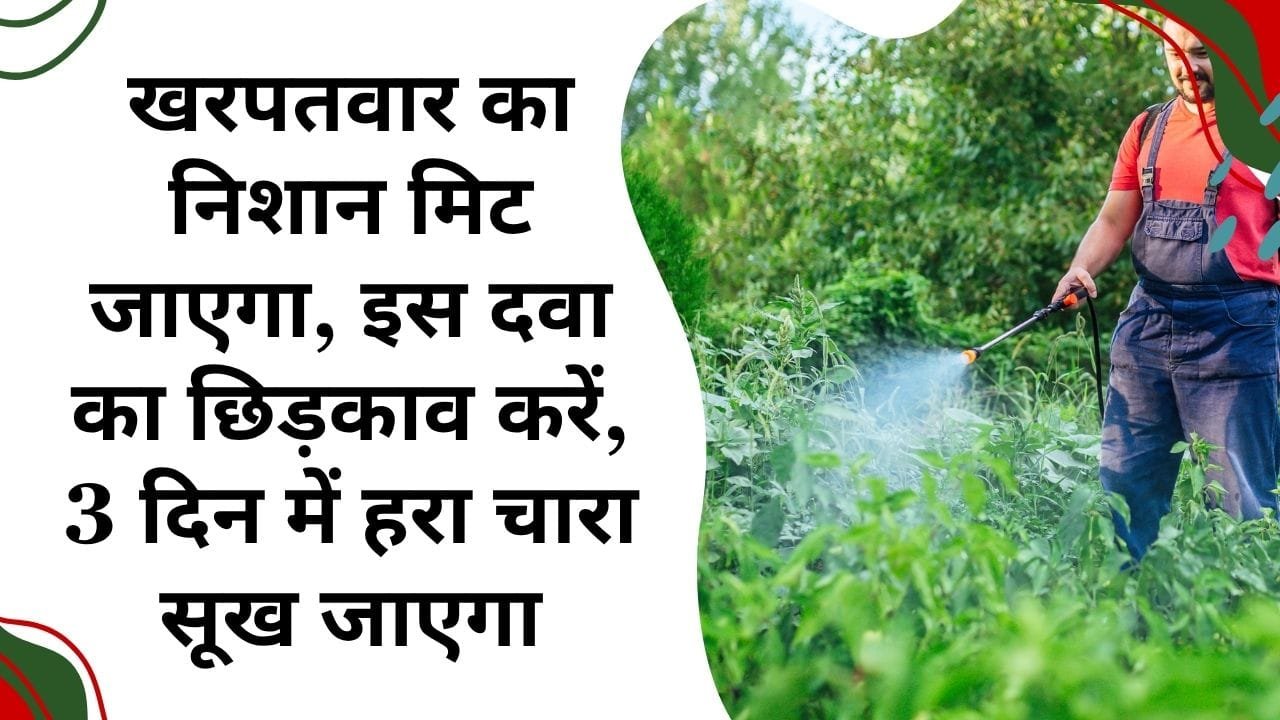 खरपतवार हटाने की दवाई