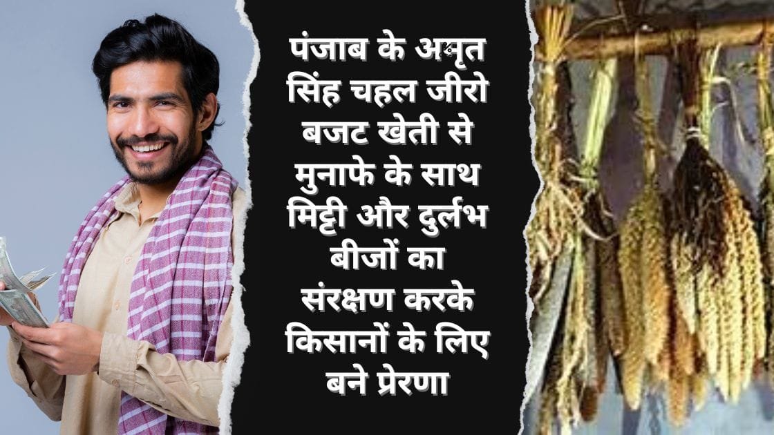PUNJAB FARMER SUCCESS STORY
