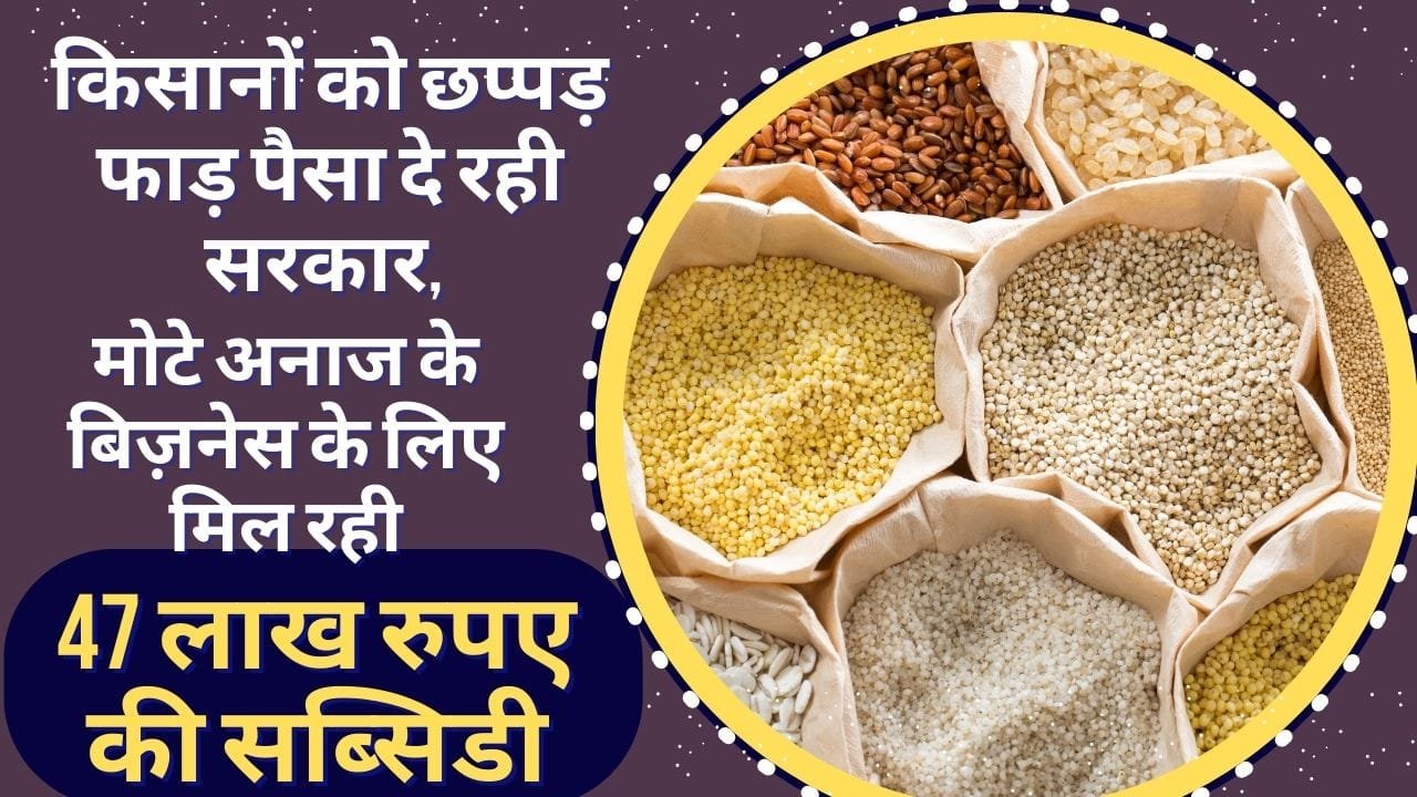 मोटे अनाज के बिज़नेस के लिए अनुदान