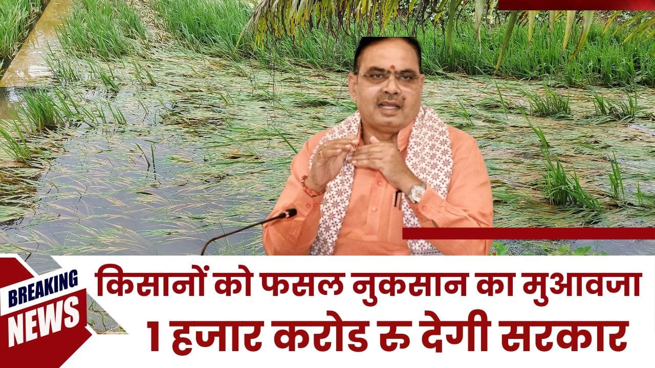 खरीफ सीजन में बारिश से खराब हुई फसलों का मुआवजा