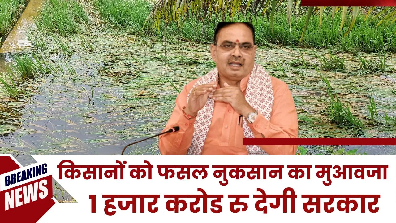 खरीफ सीजन में बारिश से खराब हुई फसलों का मुआवजा