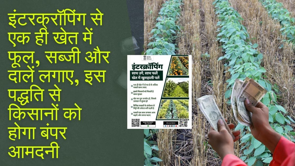 इंटरक्रॉपिंग खेती