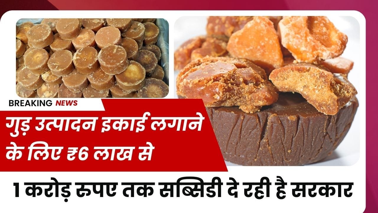 गुड़ उत्पादन इकाई लगाने के लिए कहां मिल रही सब्सिडी?