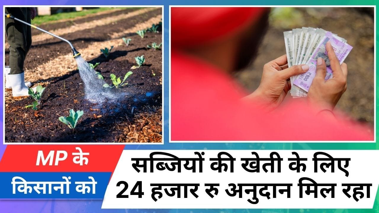 MP के किसानों के लिए सरकारी योजना