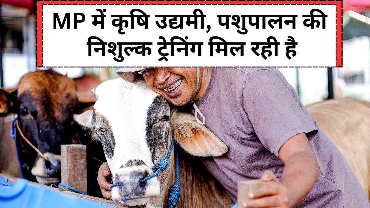 MP में कहां कृषि उद्यमी पशुपालन की निशुल्क ट्रेनिंग मिल रही