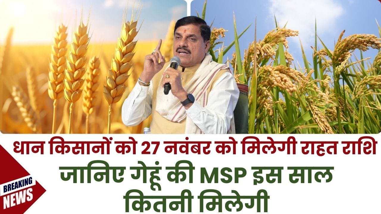 MP के गेहूं के किसानों को MSP कितनी मिलेगी?