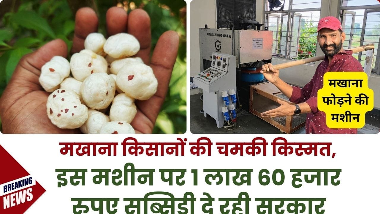 मखाना पॉपिंग मशीन पर कितनी सब्सिडी मिल रही है?