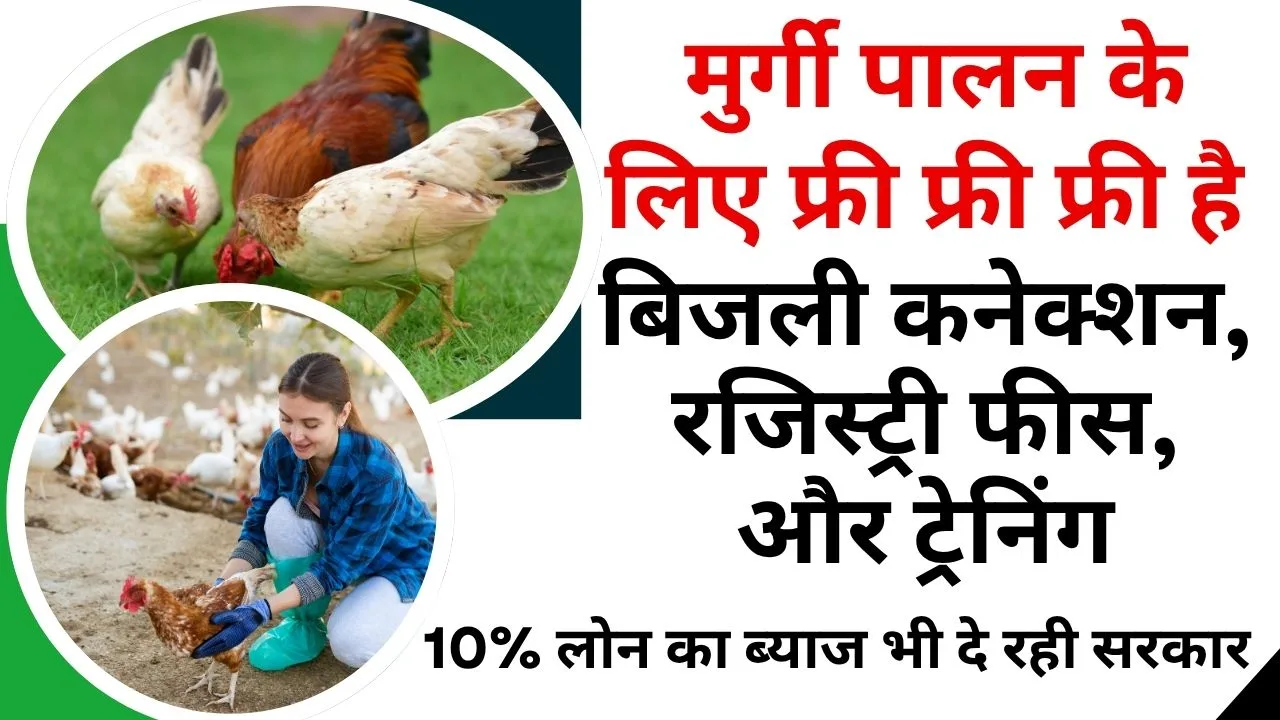मुर्गी पालको को फ्री में क्या-क्या मिलेगा