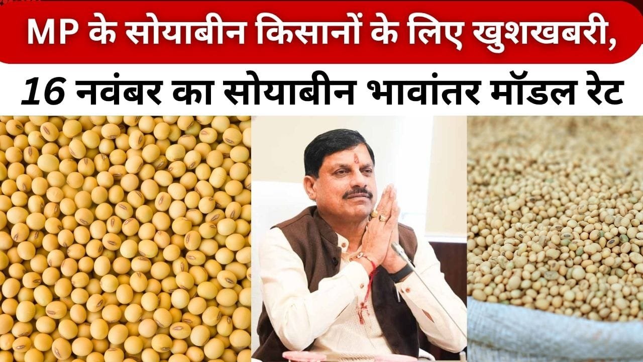 16 नवंबर का सोयाबीन भावांतर मॉडल रेट क्या है
