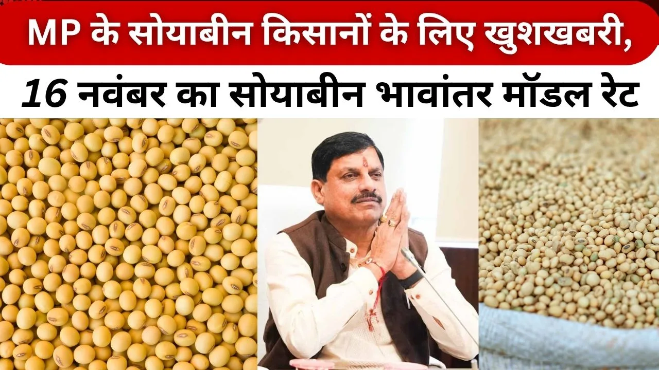 16 नवंबर का सोयाबीन भावांतर मॉडल रेट क्या है